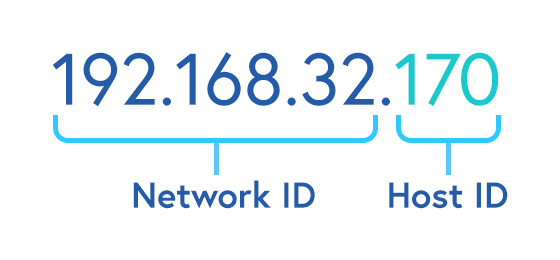 Illustrated diagram of Network ID and Host ID