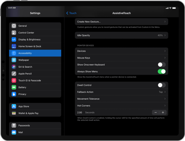iPad Pointer Devices settings