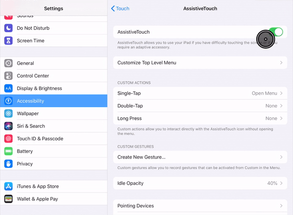 iPad opening Customize Mouse Buttons menu