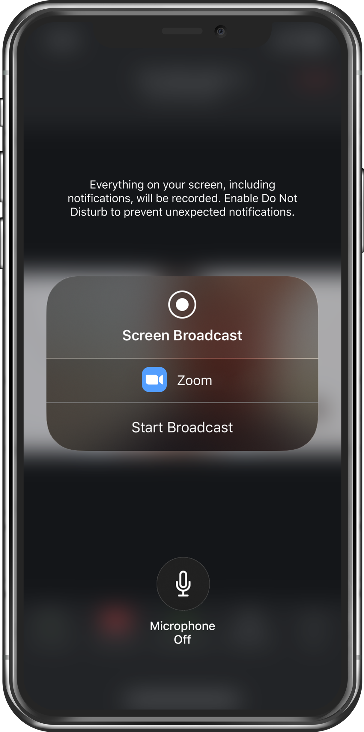 share screen zoom phone