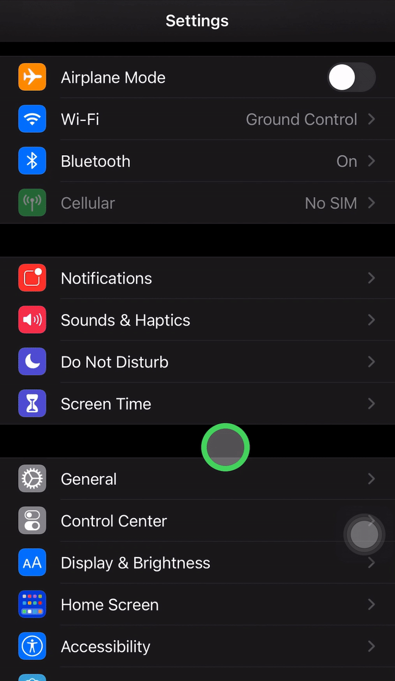 iPhone opening Pointer Control settings