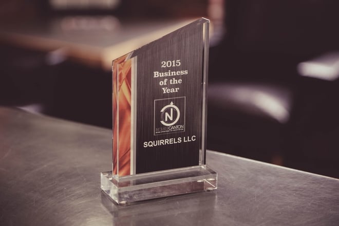 Squirrels Business of the Year 2016