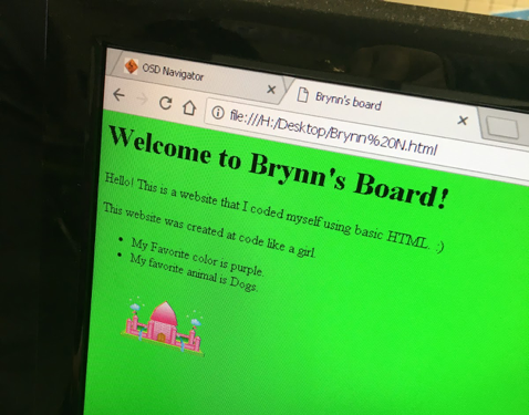 Student-coded website