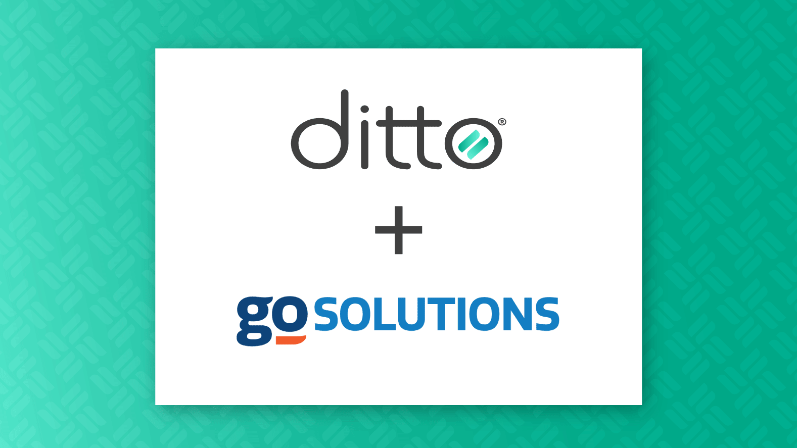 Ditto and Go Solutions logos together